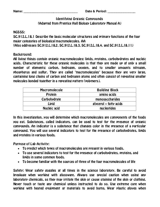 Biology lab report food test