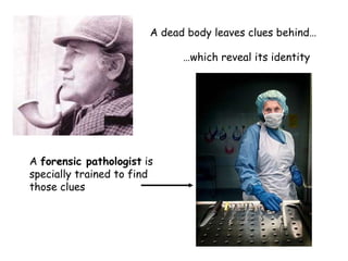 Identifying a dead body | PPT