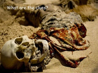 What are the clues? 