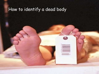 How to identify a dead body 