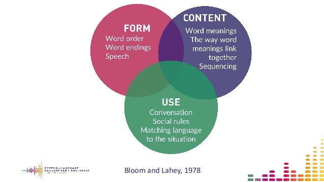 Bloom And Lahey Developmental Chart