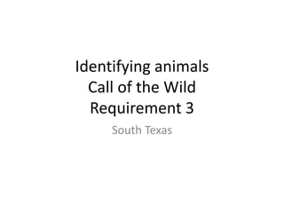 Identifying animals
Call of the Wild
Requirement 3
South Texas
 