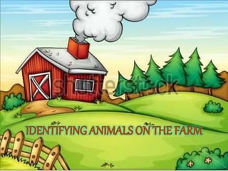 Identifying animals on the farm1