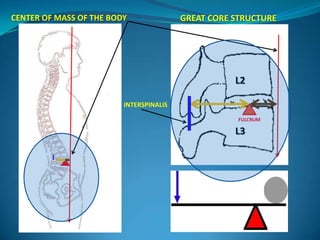 CENTER OF MASS OF THE BODY               GREAT CORE STRUCTURE




                                                    L2

                         INTERSPINALIS

                                                     FULCRUM

                                                    L3
 