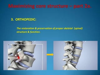 3. ORTHOPEDIC:

   The restoration & preservation of proper skeletal (spinal)
   structure & function.
 