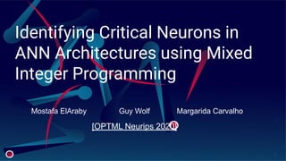 Identifying Critical Neurons in
ANN Architectures using Mixed
Integer Programming
Mostafa ElAraby Guy Wolf Margarida Carvalho
[OPTML Neurips 2020]
 