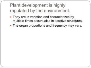 Genes Dev Identifying developmental genes dev't biology | PPTX