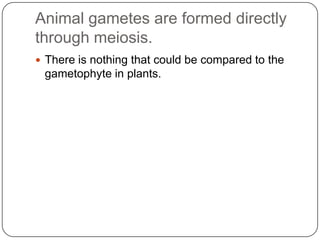 Genes Dev Identifying developmental genes dev't biology | PPTX