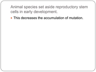 Genes Dev Identifying developmental genes dev't biology | PPTX