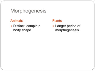 Genes Dev Identifying developmental genes dev't biology | PPTX