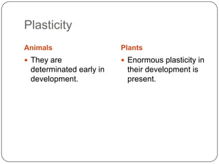 Development Involves Plasticity Identifying developmental genes dev't biology | PPT