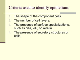 Criteria used to identify epithelium: The shape of the component cells. The number of cell layers. The presence of surface specializations, such as cilia, villi, or keratin. The presence of secretory structures or cells. 