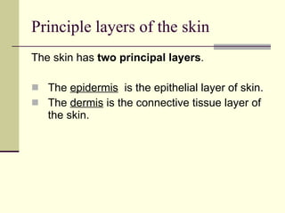 Principle layers of the skin The skin has  two principal layers . The  epidermis   is the epithelial layer of skin. The  dermis  is the connective tissue layer of the skin. 