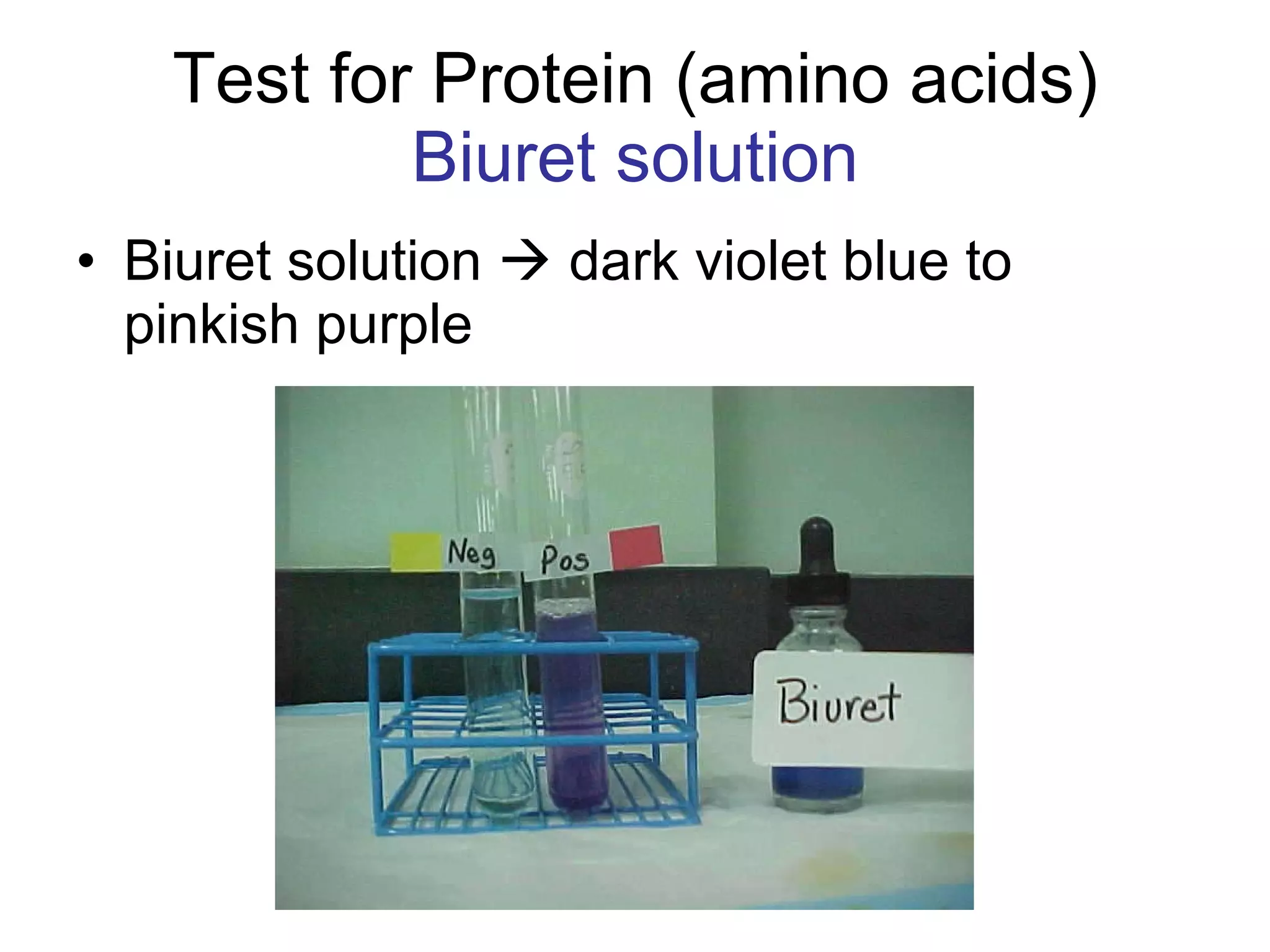 Test for Protein (amino acids) Biuret solution Biuret solution    dark violet blue to pinkish purple 