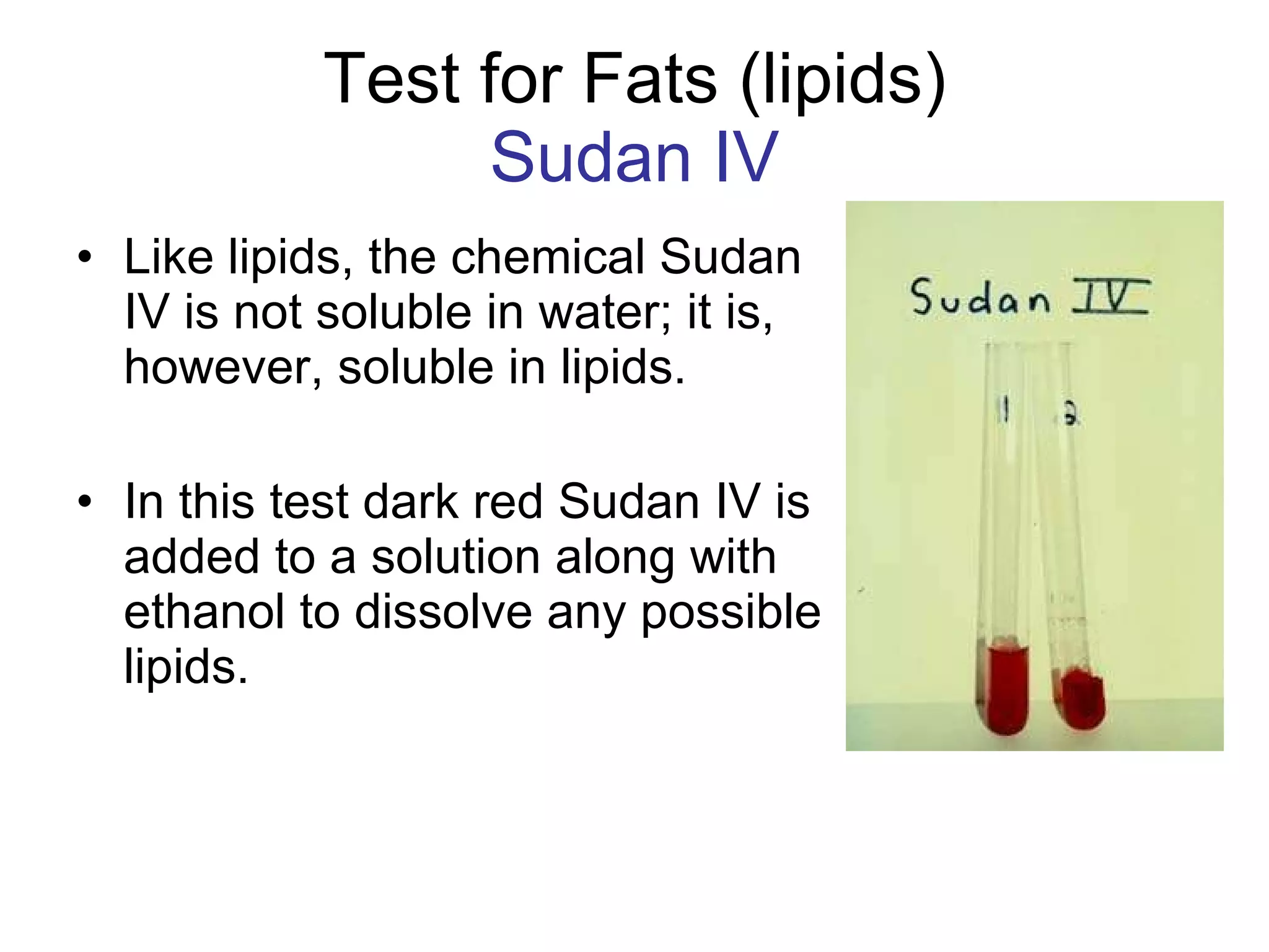 Test for Fats (lipids) Sudan IV Like lipids, the chemical Sudan IV is not soluble in water; it is, however, soluble in lipids.  In this test dark red Sudan IV is added to a solution along with ethanol to dissolve any possible lipids.  