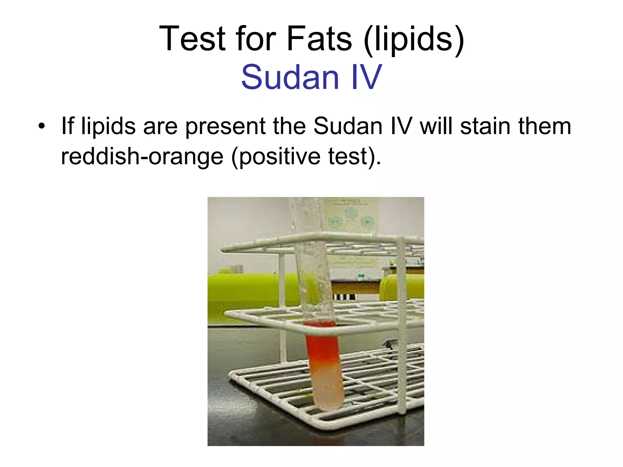 Test for Fats (lipids) Sudan IV If lipids are present the Sudan IV will stain them reddish-orange (positive test).   
