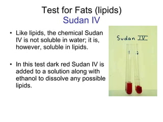 Test for Fats (lipids) Sudan IV Like lipids, the chemical Sudan IV is not soluble in water; it is, however, soluble in lipids.  In this test dark red Sudan IV is added to a solution along with ethanol to dissolve any possible lipids.  