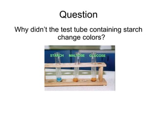 Question Why didn’t the test tube containing starch change colors? 