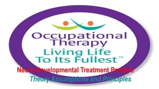 Neuro-Developmental Treatment Practice
Theory Assumptions and Principles
 