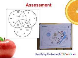 Assessment




   Identifying Similarities & Differences
 