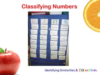 Classifying Numbers




       Identifying Similarities & Differences
 