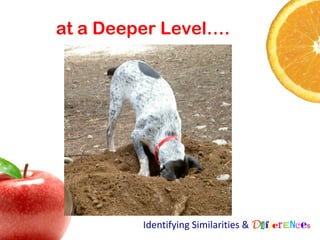 at a Deeper Level….




         Identifying Similarities & Differences
 