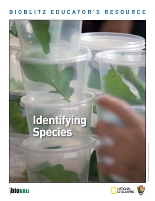 Species
                                                                            Identifying
                                                                                          BIOBLITZ EducaTOr’S rESOurcE




© 2009 National Geographic Society; Educators may reproduce for students.
 