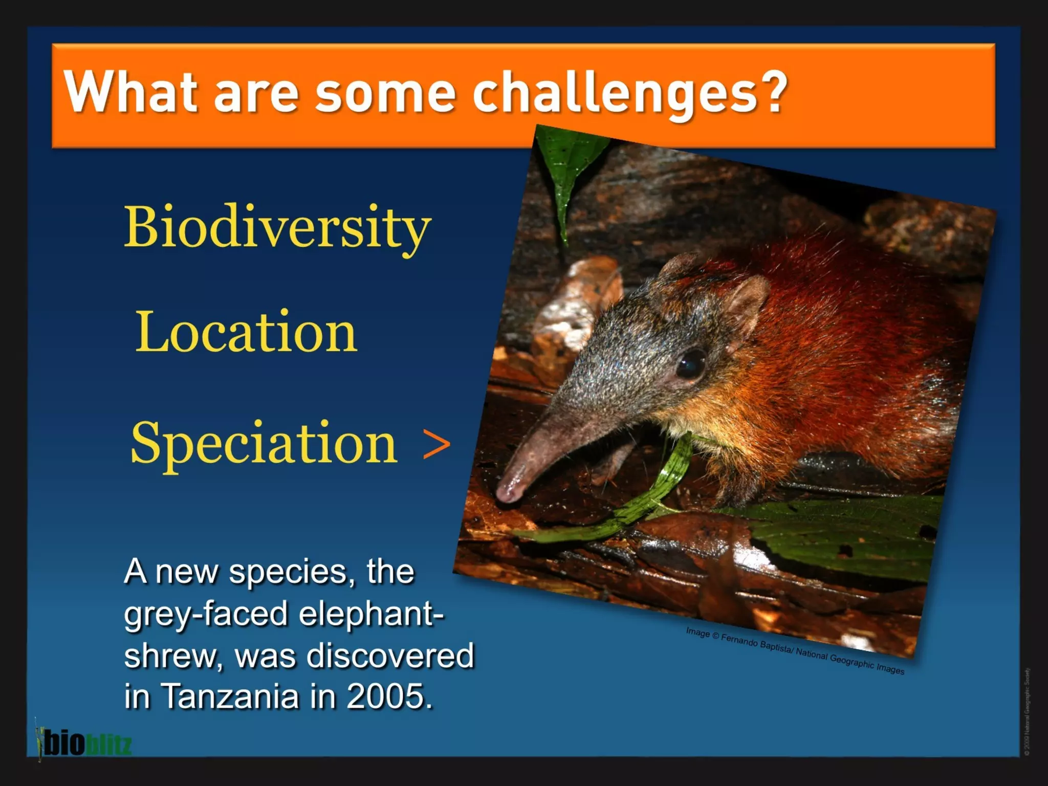 BioBlitz Educator Resource: Identifying Species