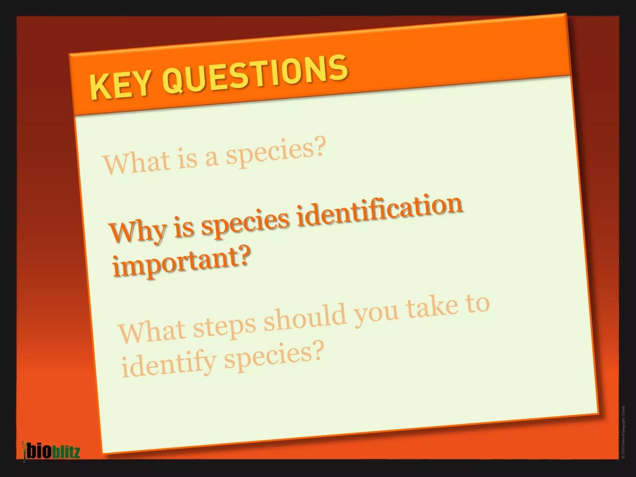 BioBlitz Educator Resource: Identifying Species