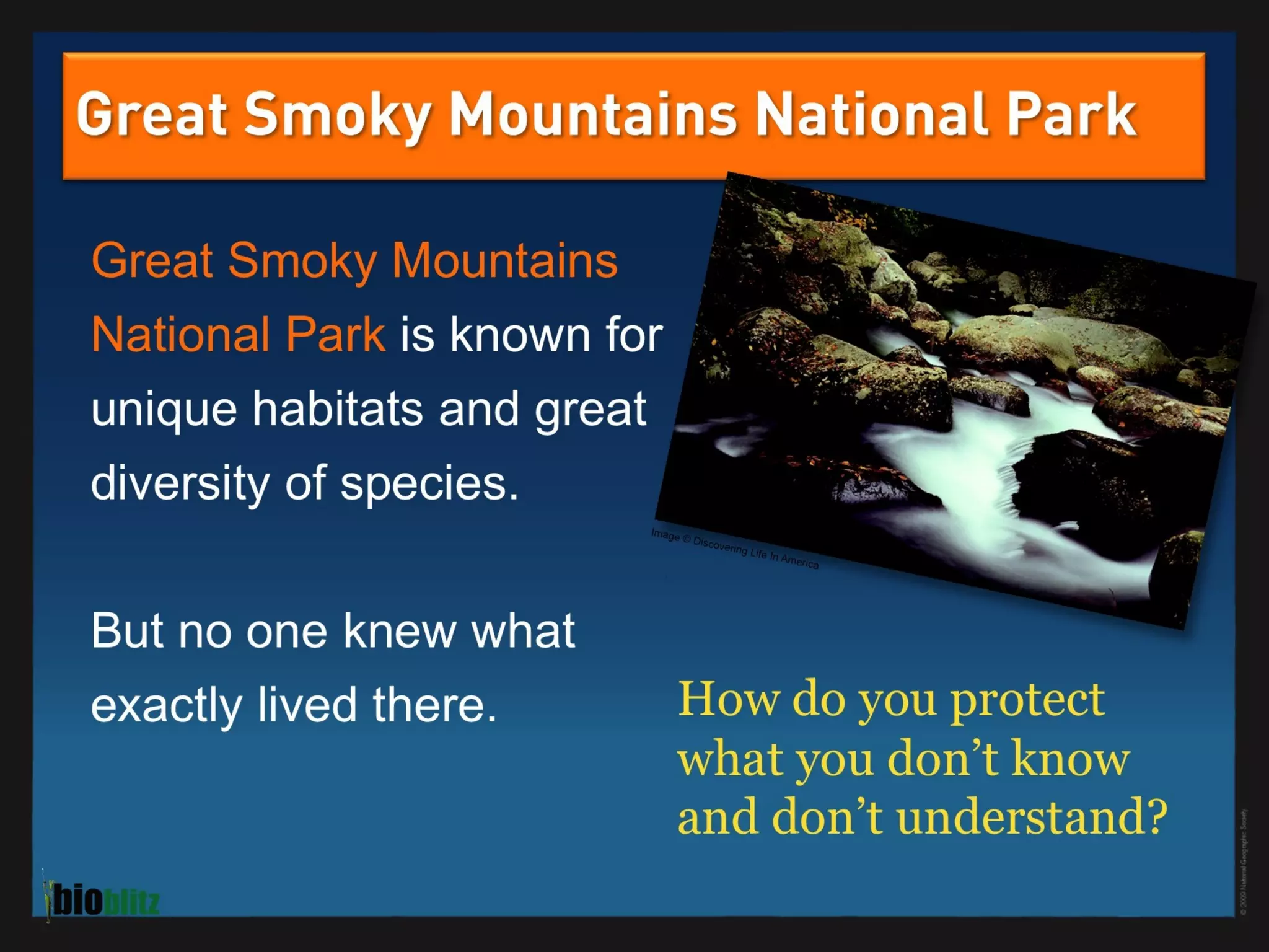 BioBlitz Educator Resource: Identifying Species