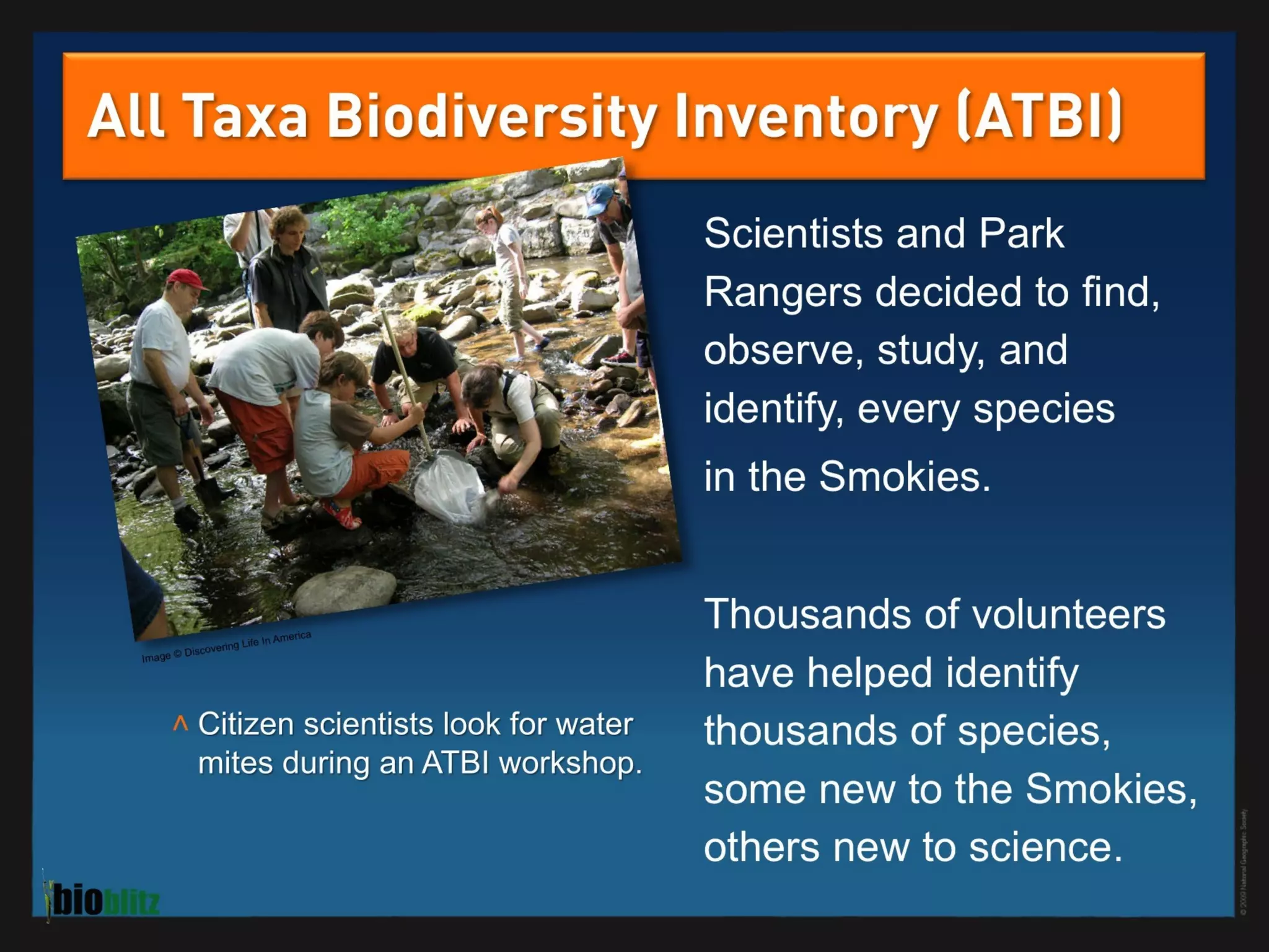 BioBlitz Educator Resource: Identifying Species