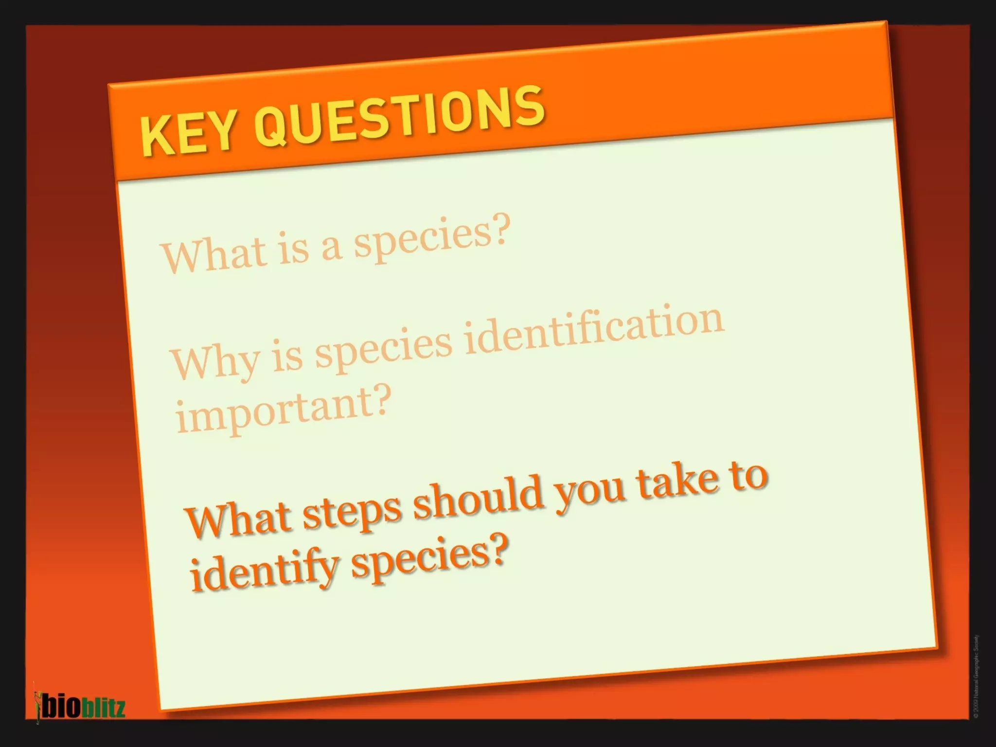 BioBlitz Educator Resource: Identifying Species