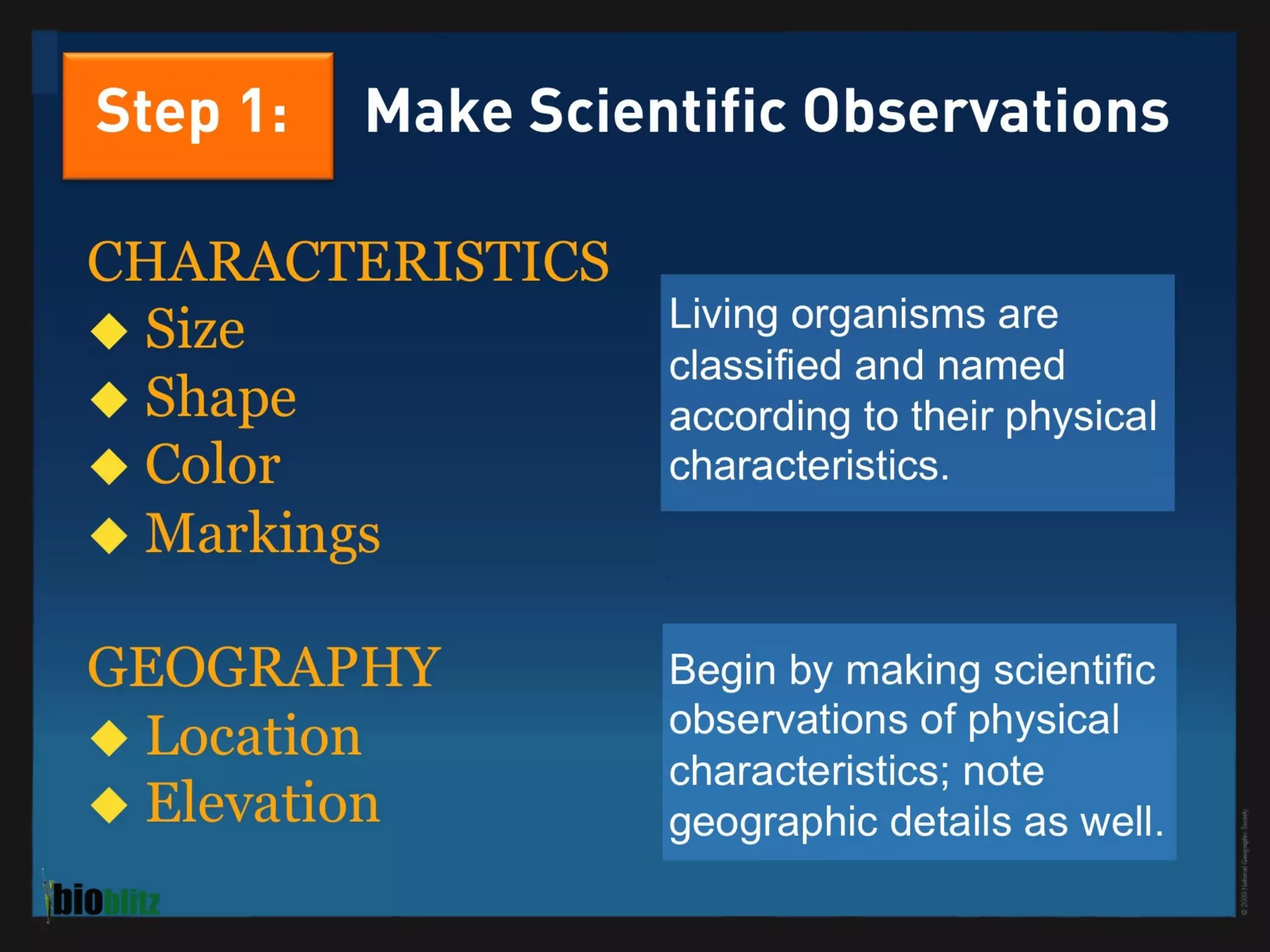 BioBlitz Educator Resource: Identifying Species