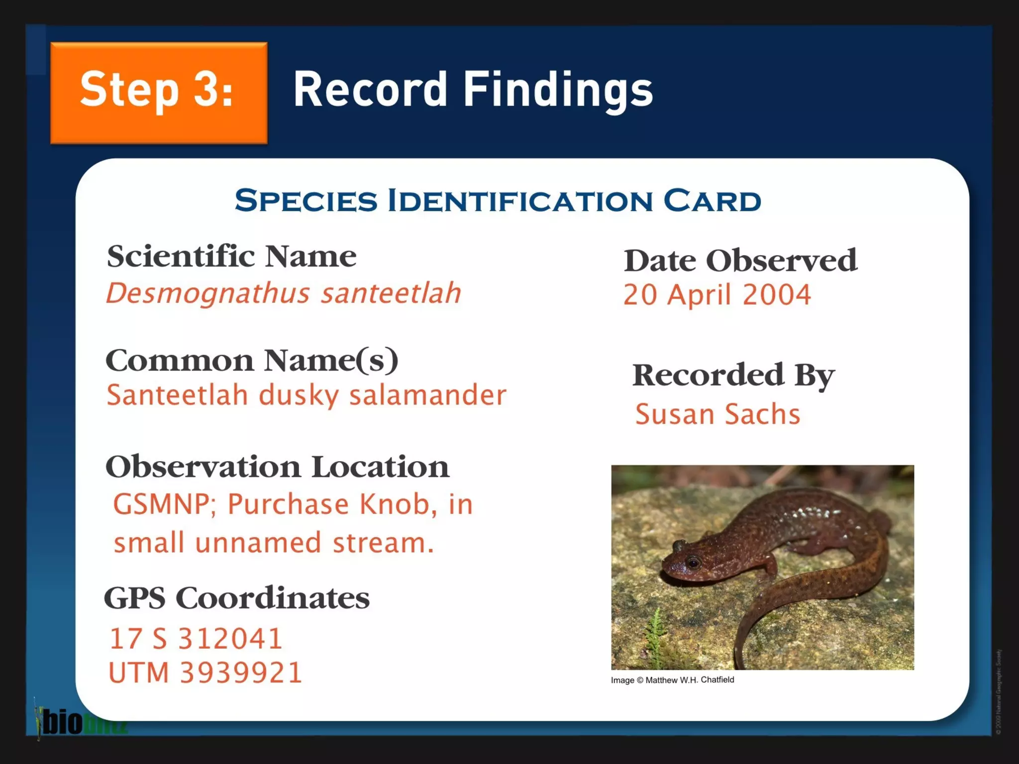 BioBlitz Educator Resource: Identifying Species