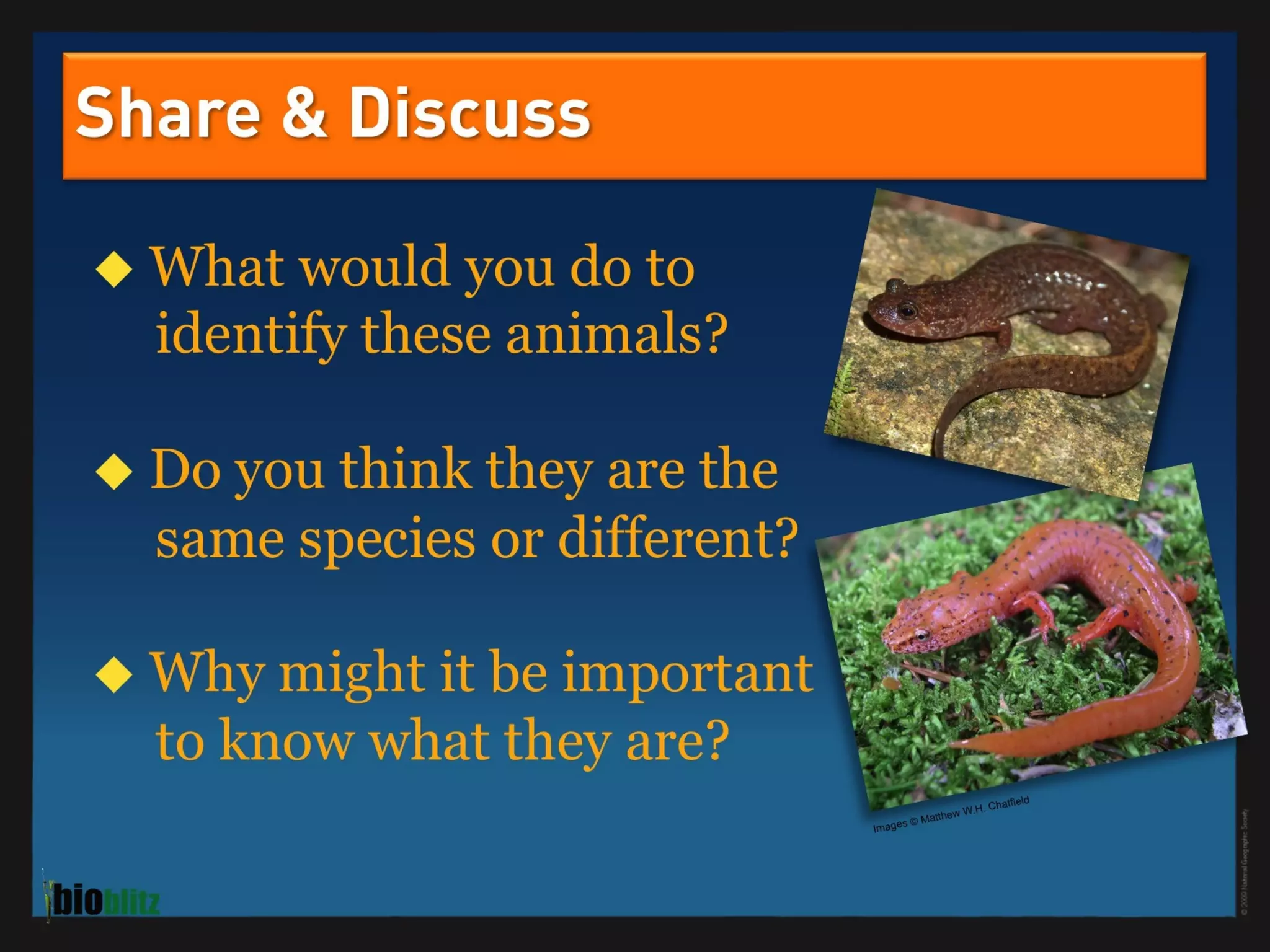 BioBlitz Educator Resource: Identifying Species