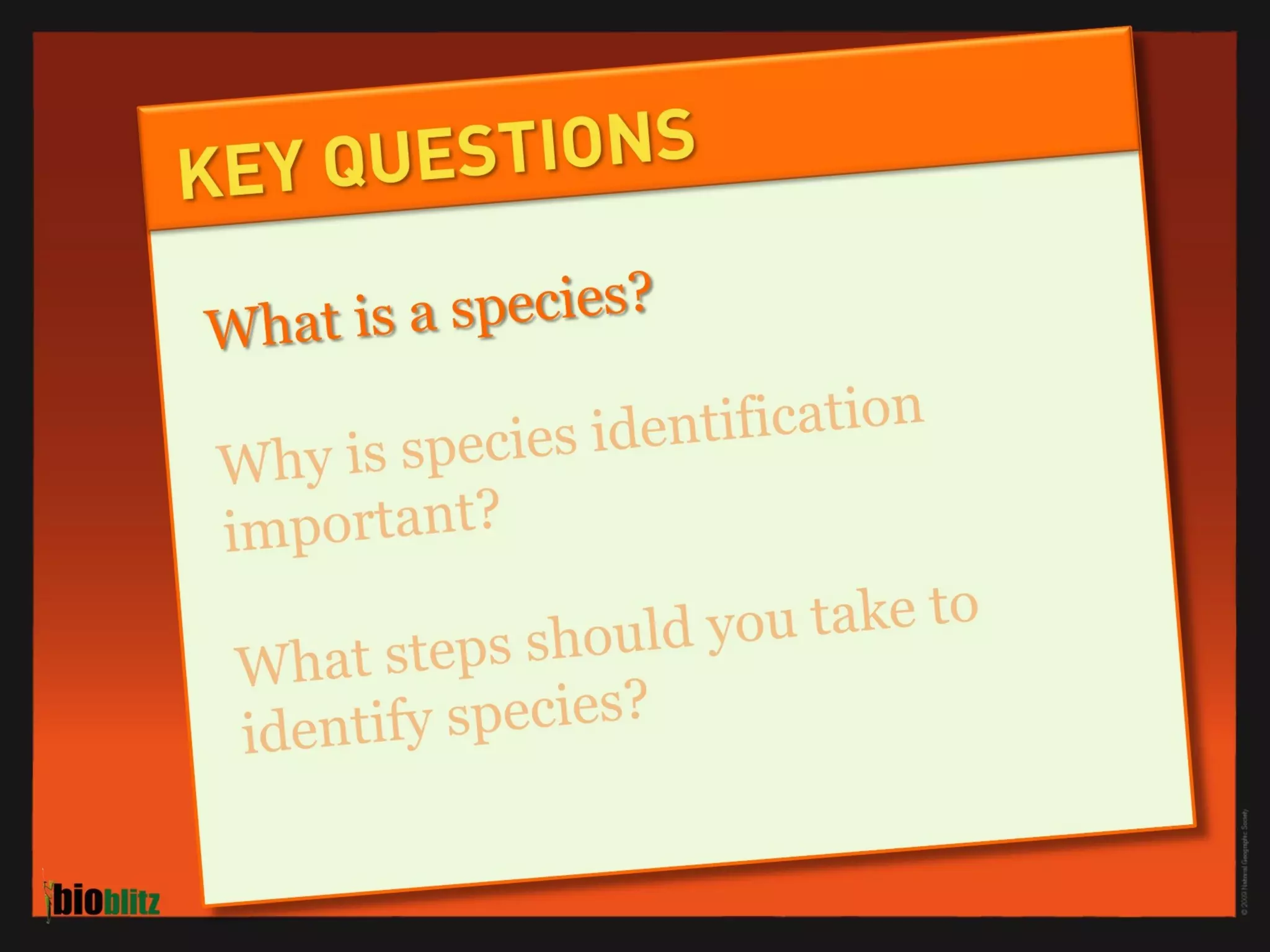 BioBlitz Educator Resource: Identifying Species