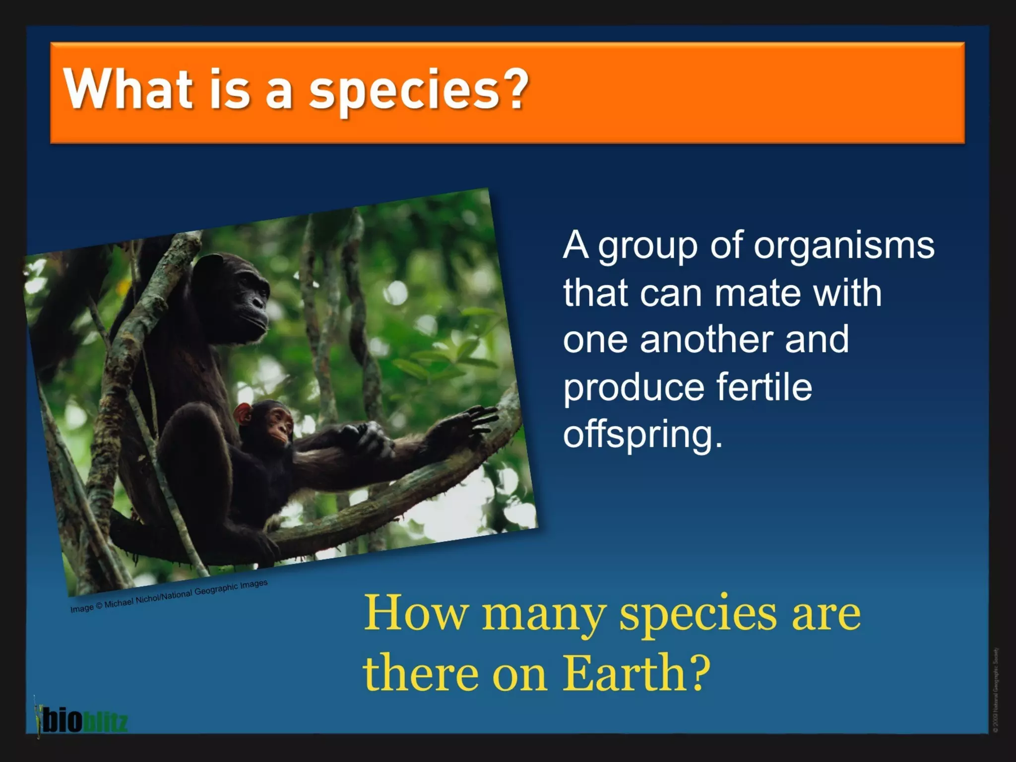 BioBlitz Educator Resource: Identifying Species