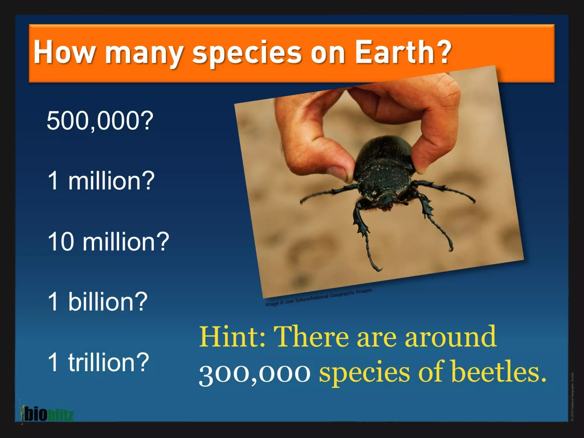 BioBlitz Educator Resource: Identifying Species