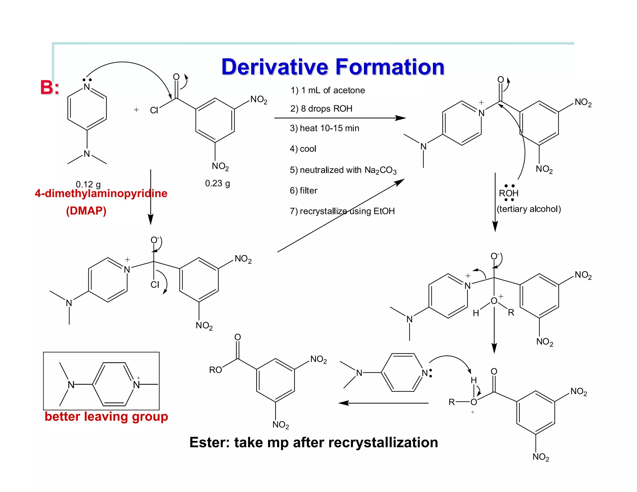 O
                                          Derivative Formation                                                    O
B:        N
                                                   NO2
                                                               1) 1 mL of acetone
                                                                                                             +                         NO 2
                      +    Cl                                  2) 8 drops ROH
                                                                                                             N
                                                               3) heat 10-15 min

                                                               4) cool                           N
          N
                                       NO2                     5) neutralized with Na2CO 3                                   NO2
         0.12 g                       0.23 g
4-dimethylaminopyridine                                        6) filter                                             ROH

     (DMAP)                                                    7) recrystallize using EtOH                        (tertiary alcohol)


                           O-

                  +                            NO 2                                                              O-
                  N
                                                                                                         +                             NO2
                           Cl                                                                            N
                                                                                                                     +
     N                                                                                                           O
                                                                                                             H           R
                                                                                             N
                                    NO2
                                               O
                                                                                                                             NO 2
                                                                     NO2
                                       RO                                       N                N               O
                       +                                                                                 H
     N                N
                                                                                                                                       NO2
                                                                                                     R   O
                                                                                                         +
 better leaving group
                                                         NO2

                                    Ester: take mp after recrystallization
                                                                                                                             NO2
 