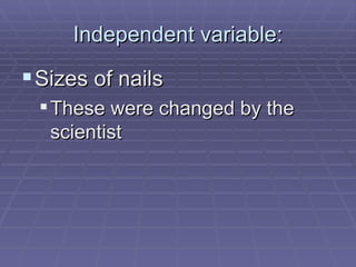 Independent variable: Sizes of nails These were changed by the scientist 