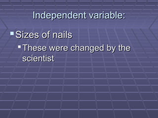 Independent variable:

 Sizes of nails
 These were changed by the
scientist

 