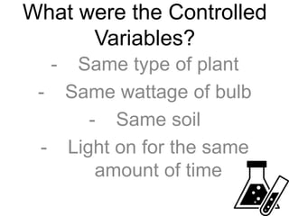 Variables Plant Example Identifying Variables | PPTX
