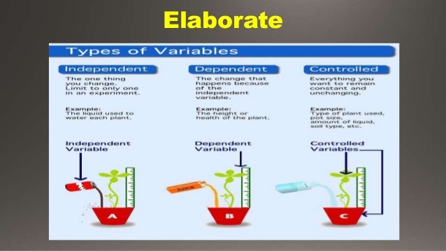 Identifying variables