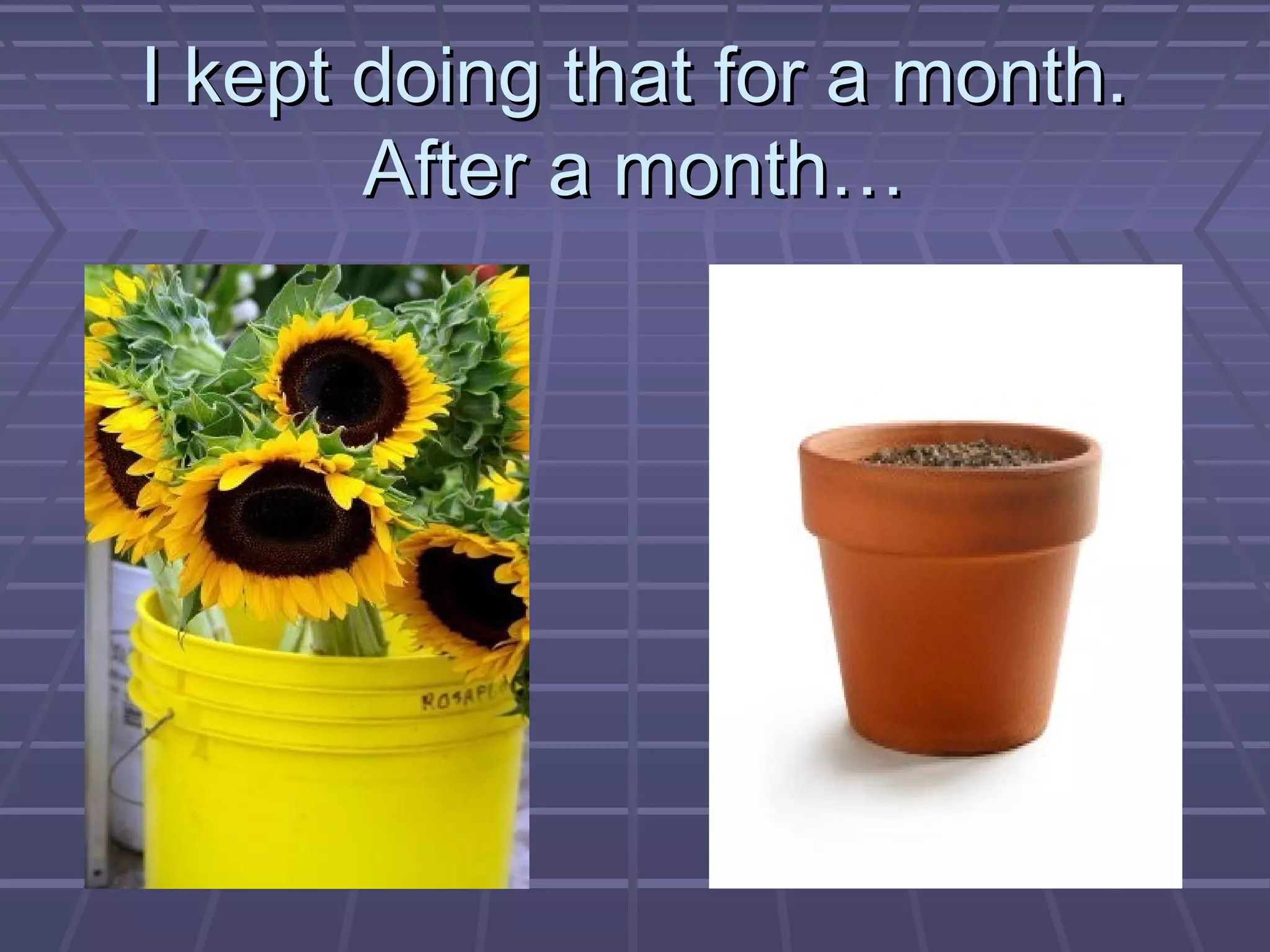 I kept doing that for a month.I kept doing that for a month.
After a month…After a month…
 