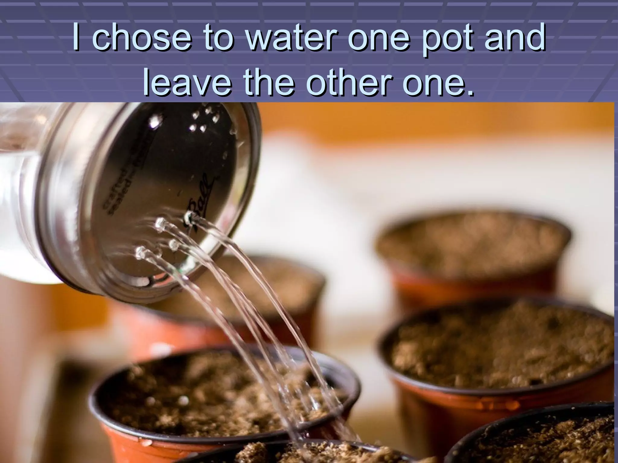 I chose to water one pot andI chose to water one pot and
leave the other one.leave the other one.
 