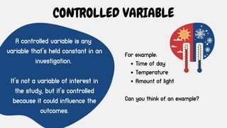 A controlled variable is any
variable that's held constant in an
investigation.
It's not a variable of interest in
the study, but it's controlled
because it could influence the
outcomes.
CONTROLLED VARIABLE
For example:
Time of day
Temperature
Amount of light
Can you think of an example?
 