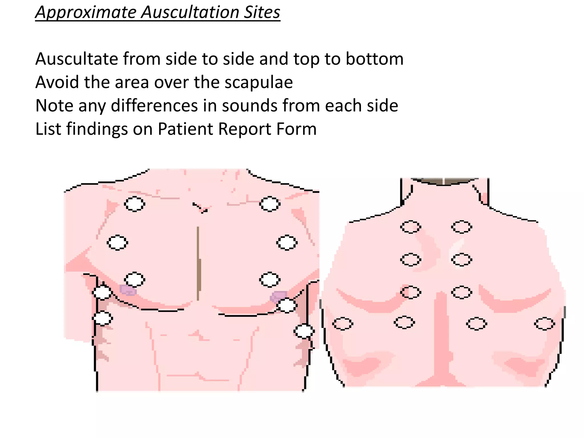 Identify stages of patient assessment | PPTX