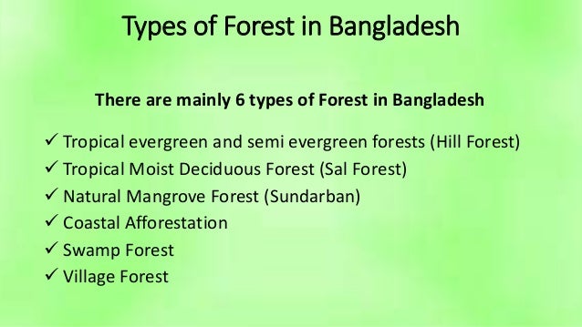 Identify the bangladeshi plants