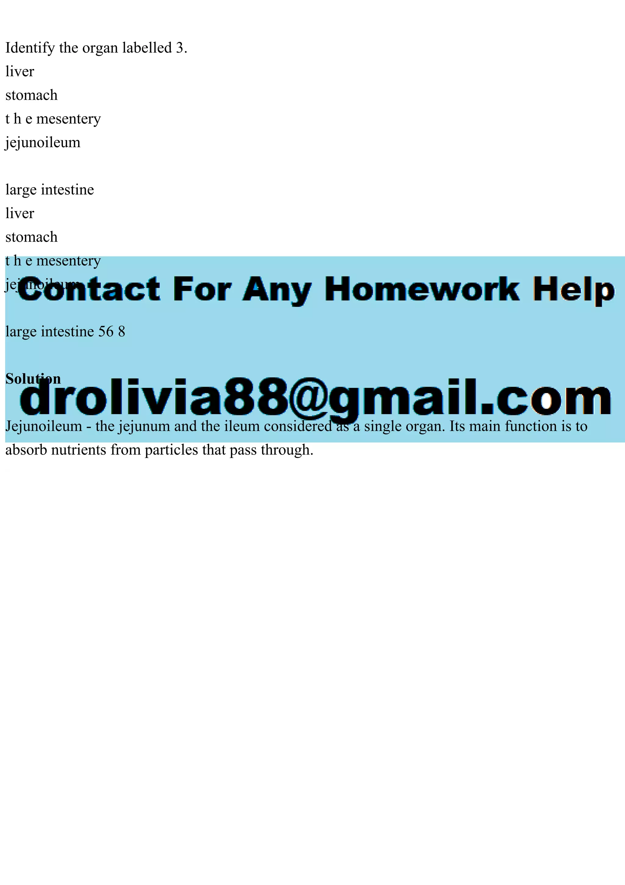 Identify the organ labelled 3.
liver
stomach
t h e mesentery
jejunoileum
large intestine
liver
stomach
t h e mesentery
jejunoileum
large intestine 56 8
Solution
Jejunoileum - the jejunum and the ileum considered as a single organ. Its main function is to
absorb nutrients from particles that pass through.