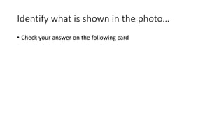 Identify what is shown in the photo…
• Check your answer on the following card
 